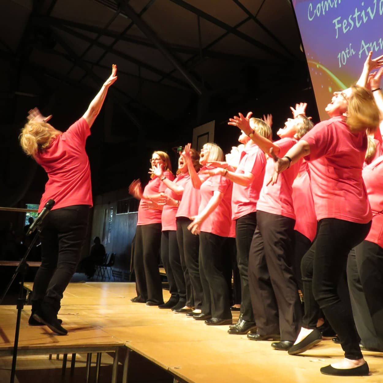 Showtime - Diamond Harmony a women's a cappella chorus from Newton Regis 01s